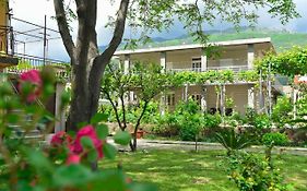 Apartmani Mihovic - Jaz